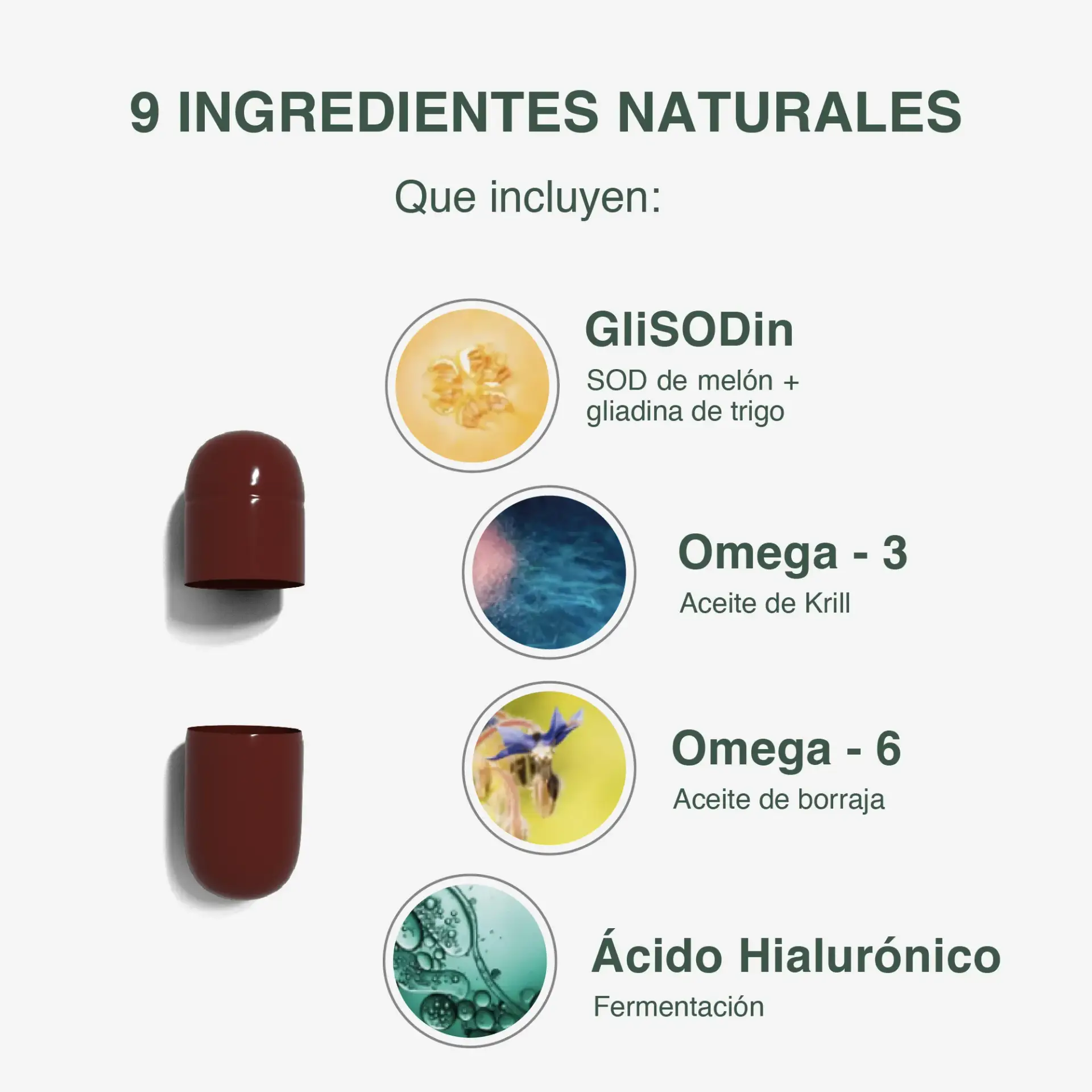 GliSODin V-SOD - Imagen 3